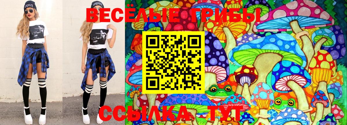 Псилоцибиновые грибы прущие грибы Ессентуки