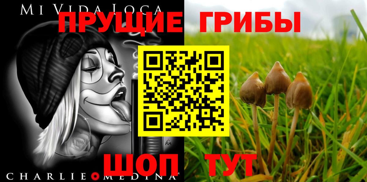 Псилоцибиновые грибы Magic Shrooms  Псилоцибиновые грибы прущие грибы  дарнет шоп  Вход с VPN  Ессентуки 